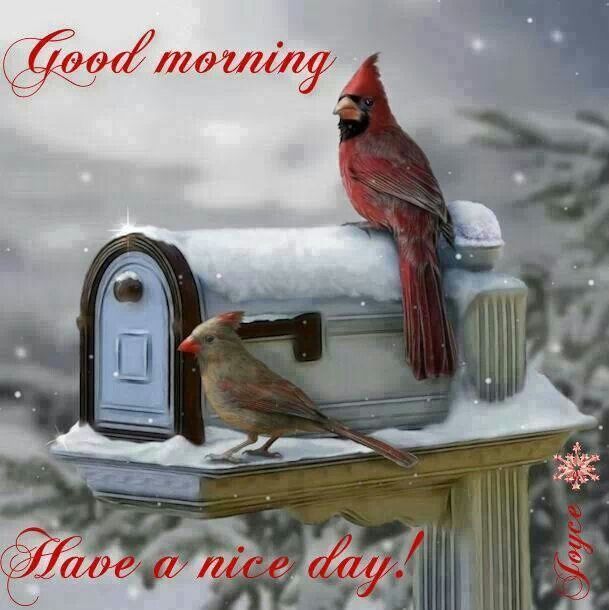 Have A Nice Day Bird Good Morning Photo Good Morning Images, Quotes, Wishes, Messages, greetings & eCards